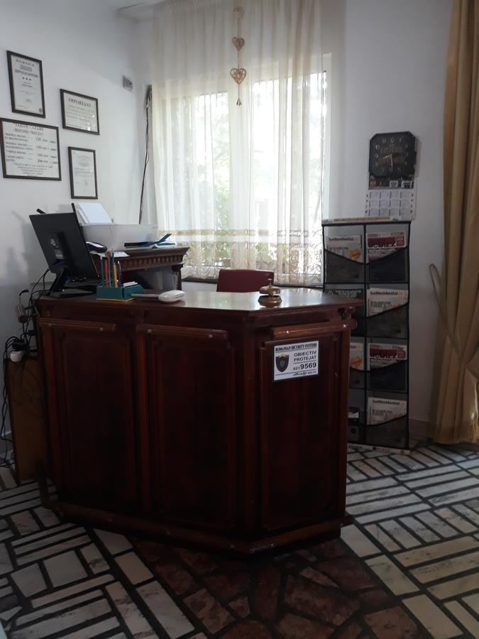Pensiunea Sydney Timisoara Bagian luar foto